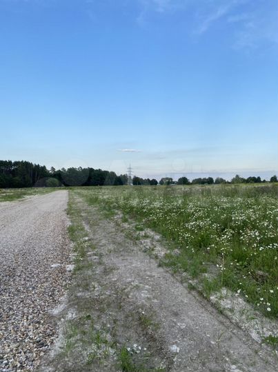 Участок 10 сот. (ИЖС)