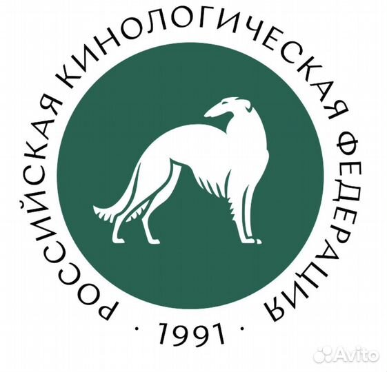 Кинологический клуб. Оформление документов