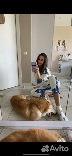 Зооняня /Догситер / Передержка собак