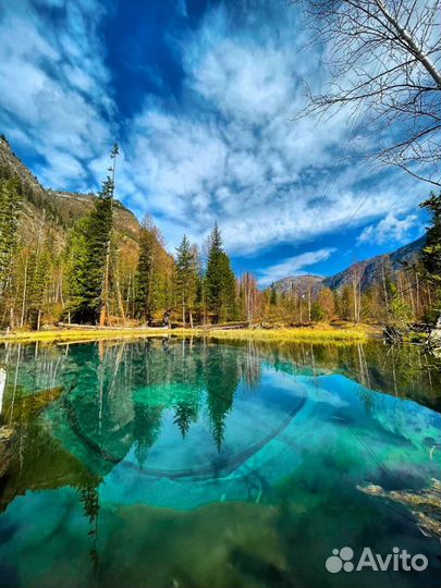 Туры и экскурсии Алтай. Трансфер