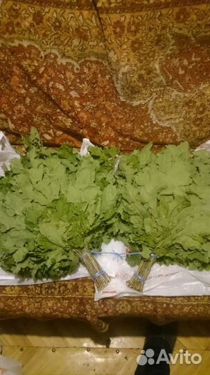 Веники дубовые березовые