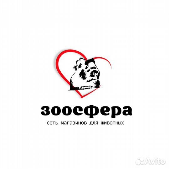 Продавец - консультант в зоомагазин