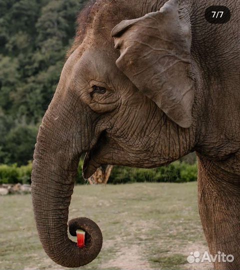 Фотосессия