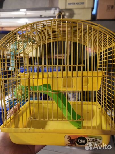 Клетка для грызунов