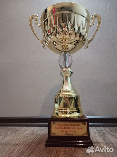 Футбольный кубок