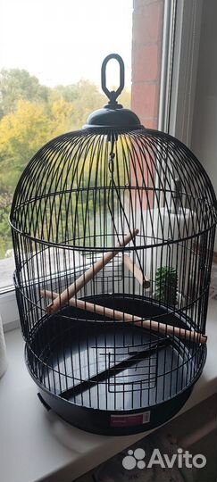 Клетка для птиц
