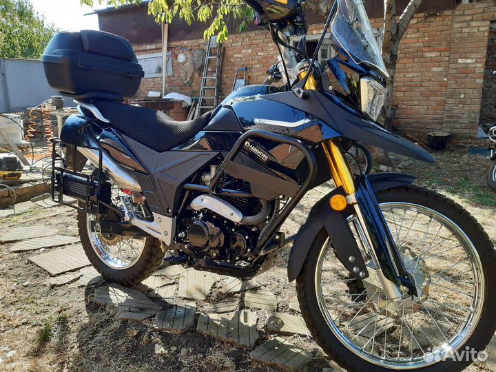 Racer Ranger RC300 GY8