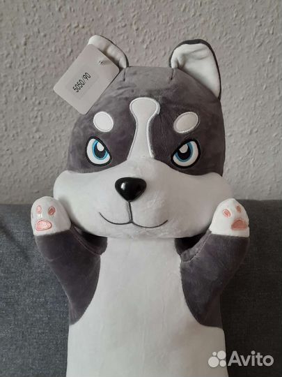 Собака хаски и корги батоны