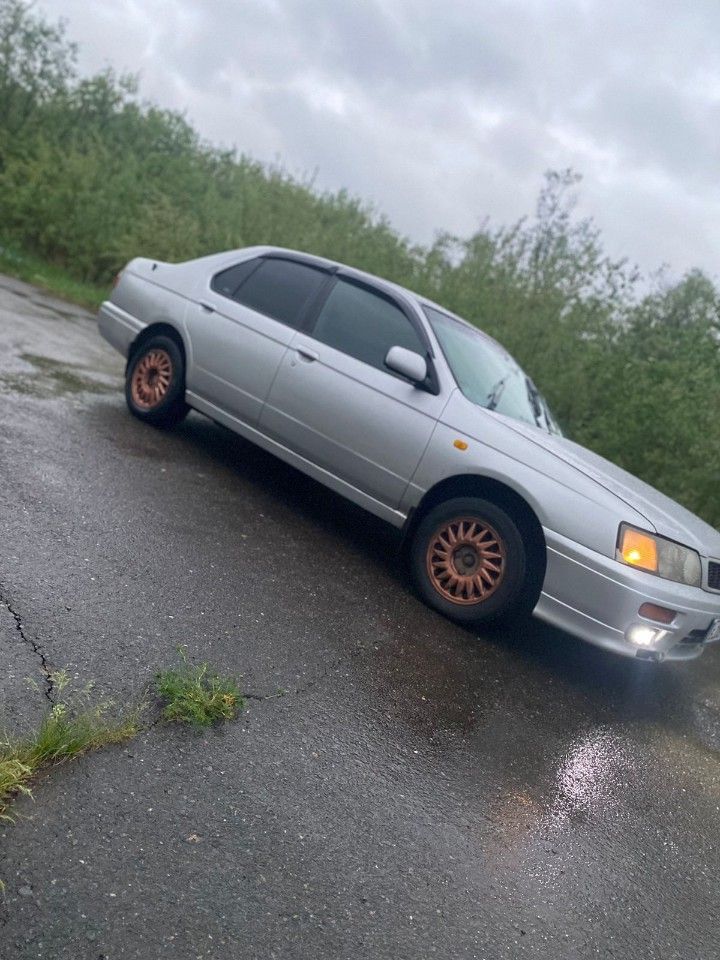 Nissan Bluebird: фото из отзыва