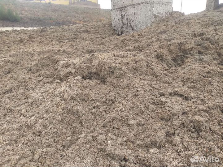 Продаю жом сырой