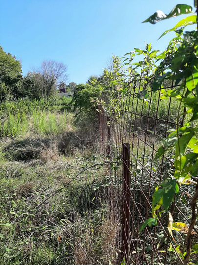 Участок 6 сот. (ИЖС)