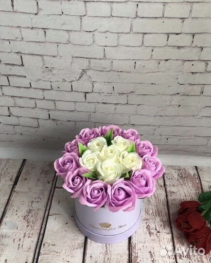 Роза мыльная сиреневая