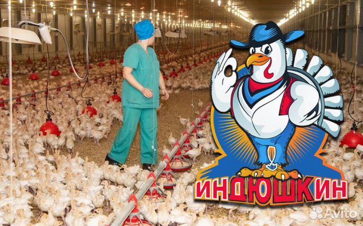 Упаковщик на вахту с проживанием