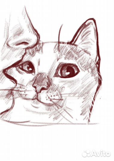 Рисунки на заказ digital