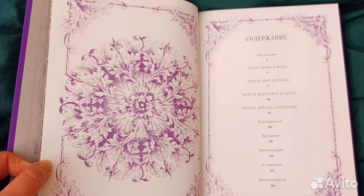 Книга фей. Подарочное издание