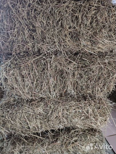 Сено в тюках