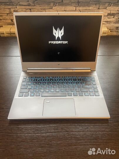 Acer predator