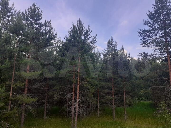 Участок 1,96 га (СНТ, ДНП)