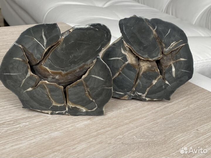 Септария 13*11*4 см срез, минерал природный