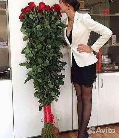 Розы гиганты 140 150 160 170 180 200