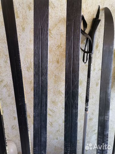 Беговые лыжи