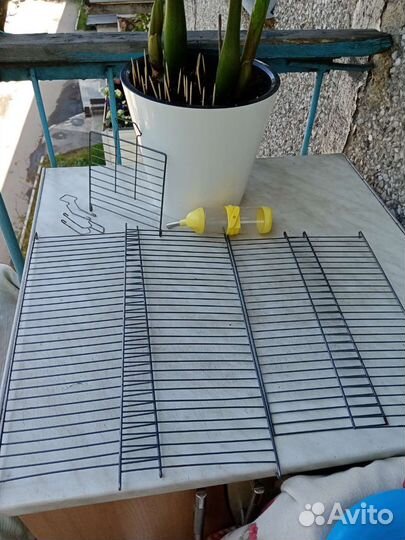 Большой лоток для кошек. Аксессуары для грызунов