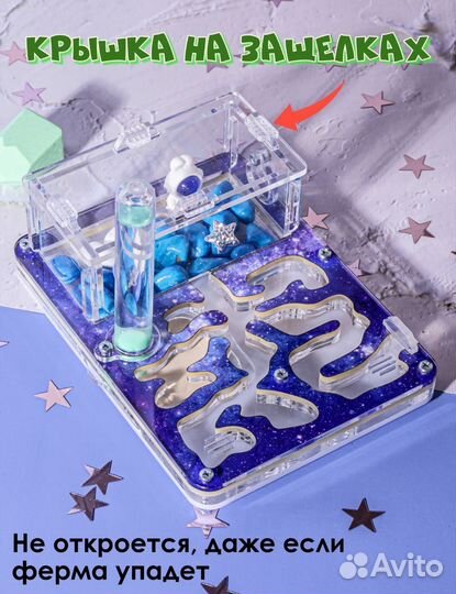 Муравьиная ферма