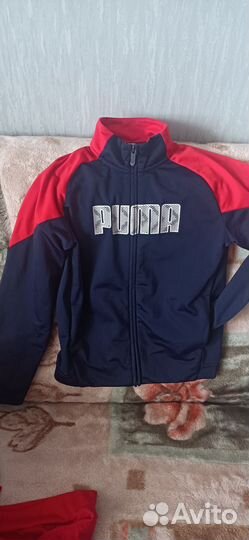 Олимпийки детские 152 см