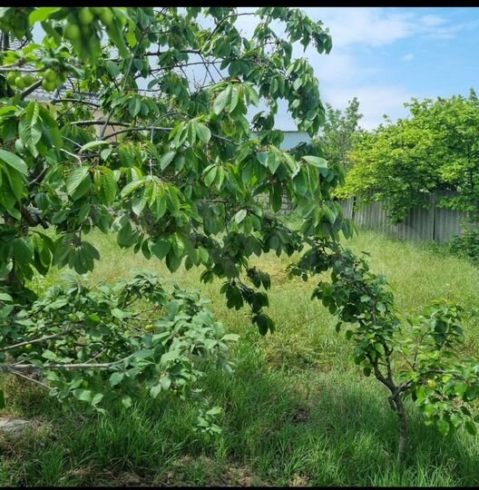 Дом 120 м² на участке 4 сот.