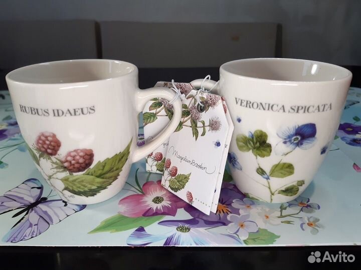 Кружки Вероника Колосистая 200 мл M.bastin Wegter