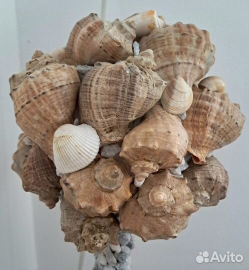 Топиарий из ракушек