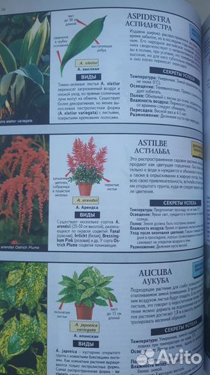 Д-р Д. Г. Хессайон. Всё о комнатных растениях