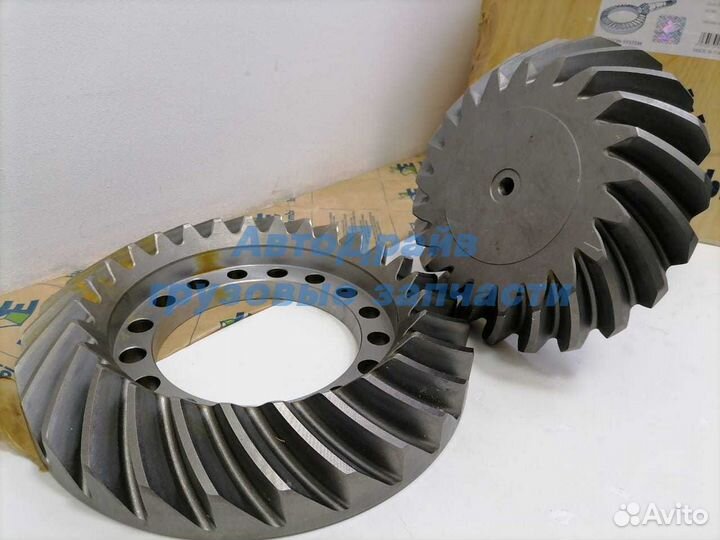 Главная пара Ман Тгс Man Tgs