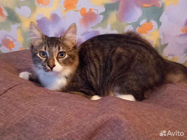 Шикарный мальчик 3 месяца