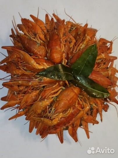 Живые раки с доставкой