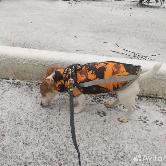 Зимний жилет для собак