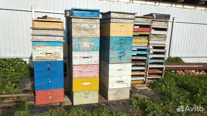 Улья рутта рамки