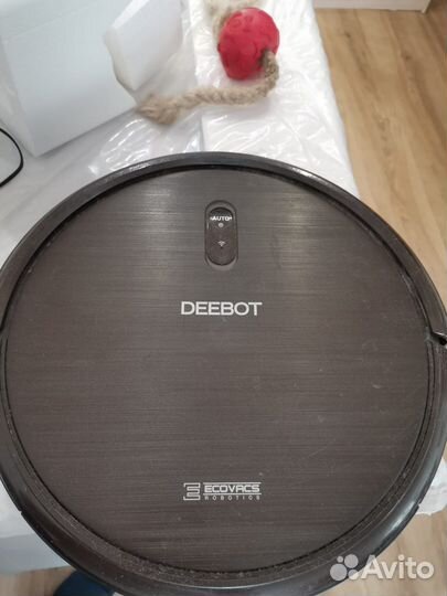 Робот пылесос deebot