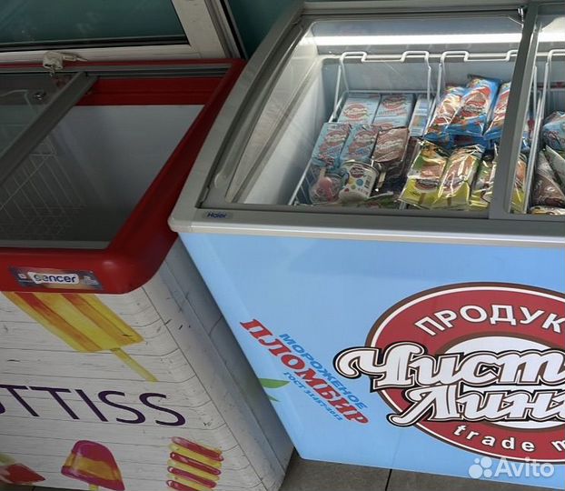 Морозильный ларь Снеж мл 250