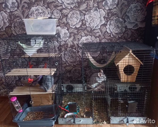 Клетка для грызунов большая
