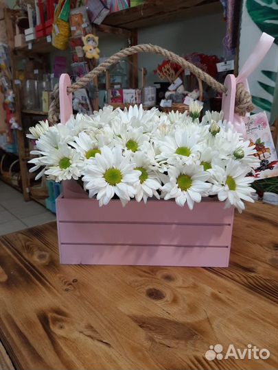 Ящик с цветами, хризантема ромашковая