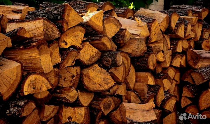 Дрова сегодня