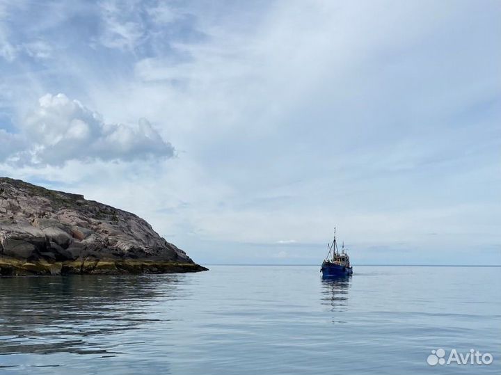 Тур в Териберку