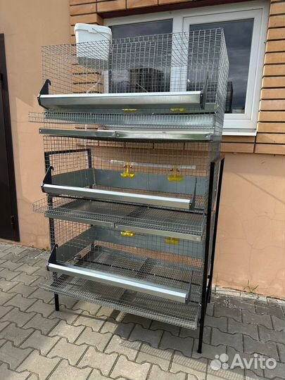 Клетка для 30 кур несушек каркасная