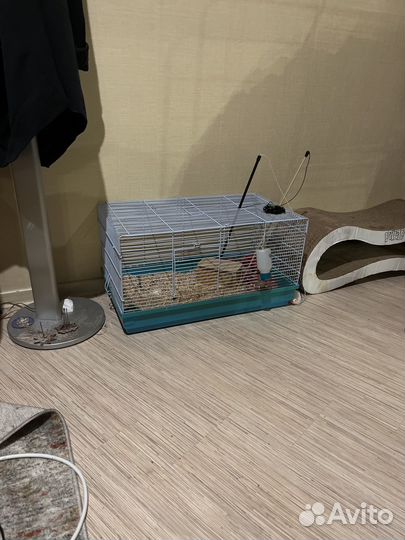 Клетка для грызунов