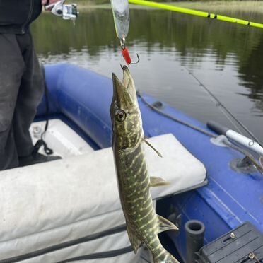 Прокат аренда лодки с мотором