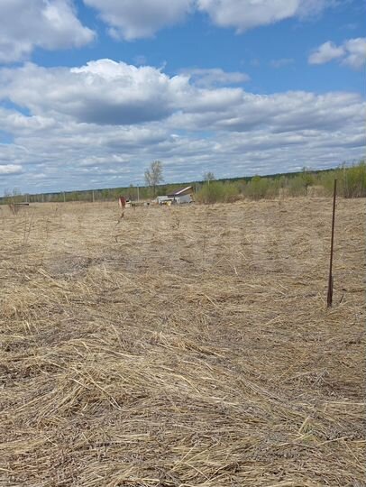 Участок 12 сот. (СНТ, ДНП)