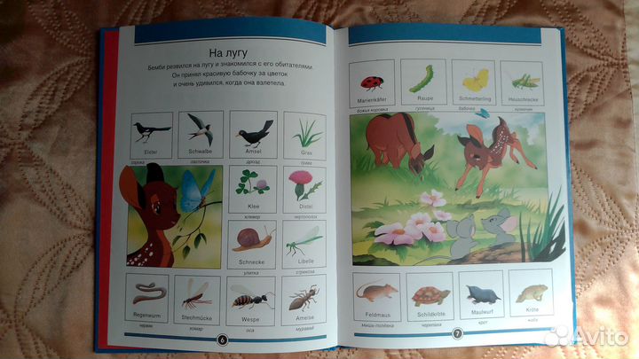 Словарь Русско-Немецкий в картинках