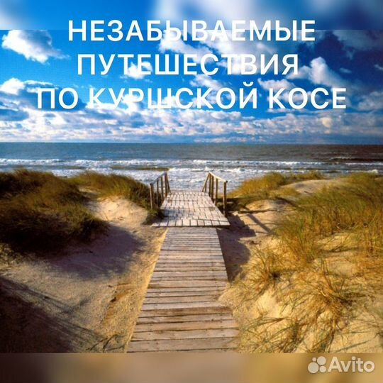 Экскурсии на Куршскую косу Ваш Гид