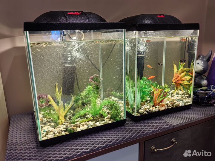 Аквариум